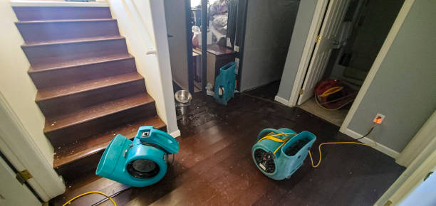 Best Fire Damage Restoration  in Vassar, MI