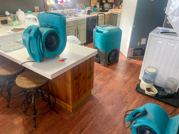 Professional Water damage restoration in Vassar, MI