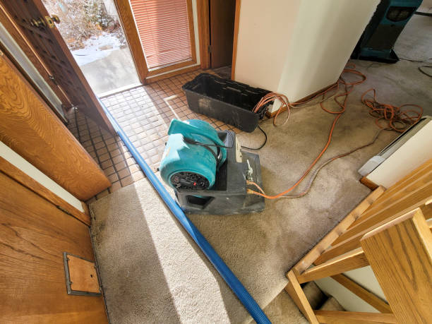 Best Water damage cleanup near me  in Vassar, MI