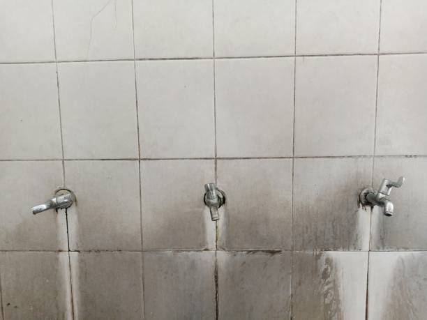 Reliable Vassar, MI Water damage restoration Solutions