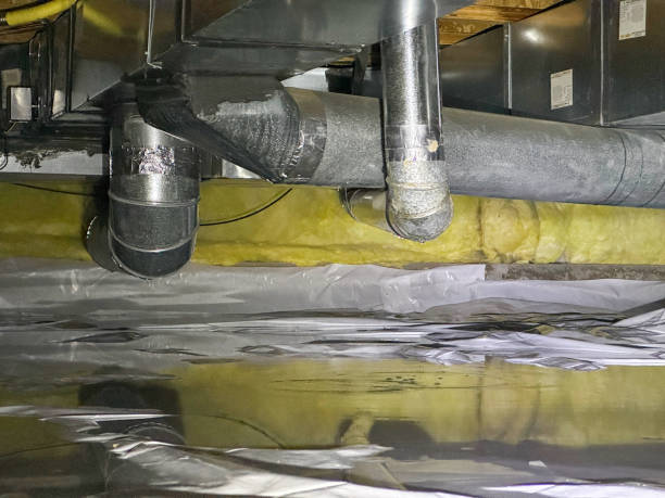 Best Residential water damage restoration  in Vassar, MI
