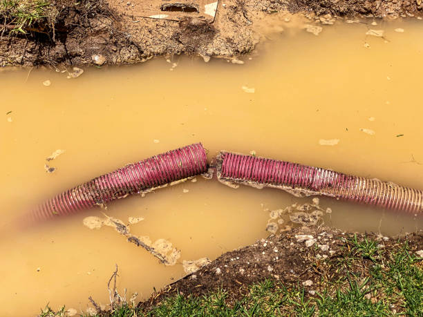 Best Basement water damage restoration  in Vassar, MI